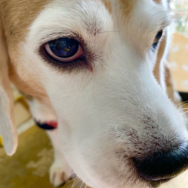 4fb65a21 0126 4632 8333 7a0a66949401 1608956180015