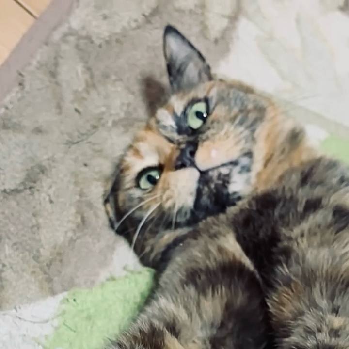 4fb692b3 4b6d 41e8 a8c9 905446b352cf 1765833687200