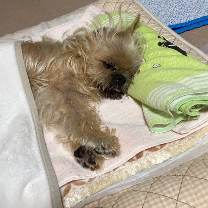 4fb69678 1090 4f21 94e4 863703560626 1622804207288