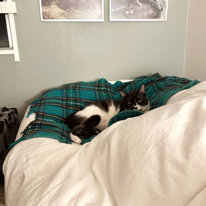 4fb6ac84 afd2 439a a21a b3851f71532d 1772638933728