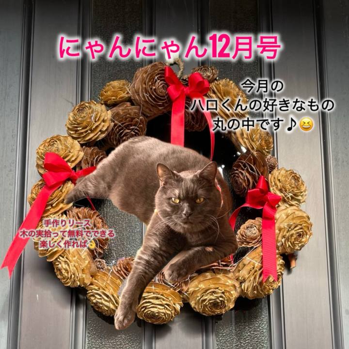 4fb6c5db f379 4d35 8375 c2a40e5f4ec7 1765673762678