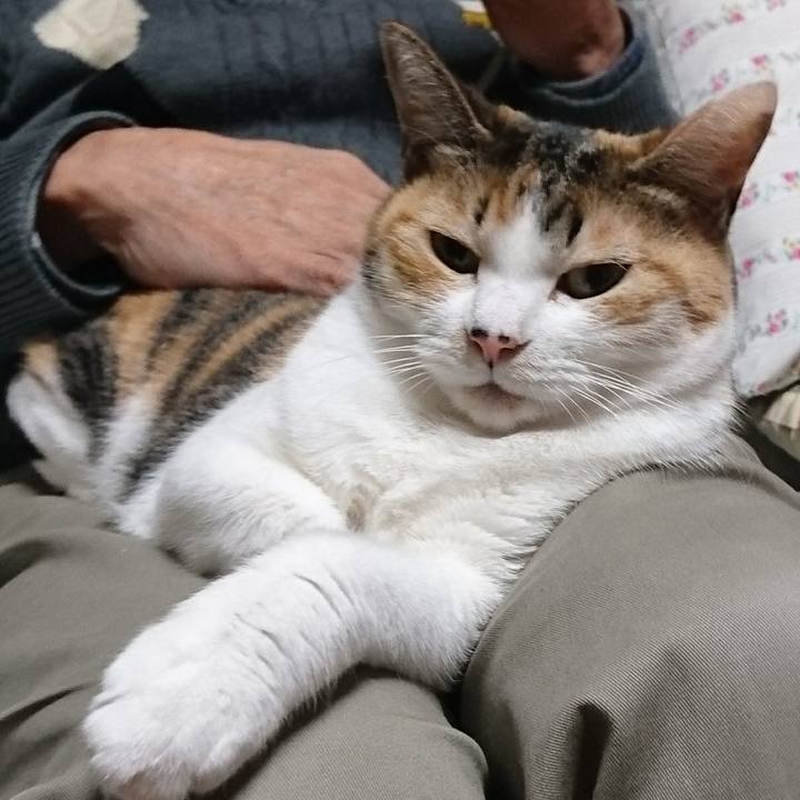 4fb6fb1d 87c8 4356 9c8c 1093d0a4f09d 1578400022183