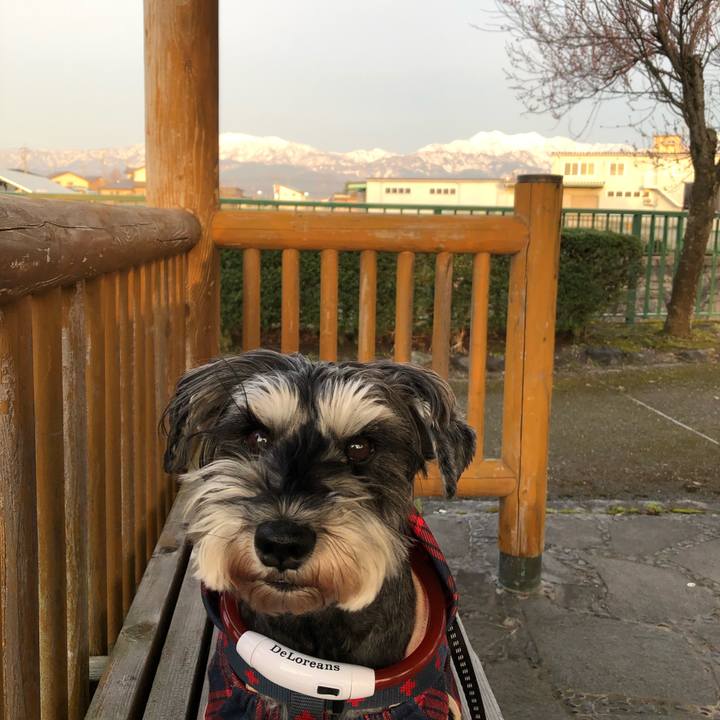 4fb72c43 df3c 4a5d 9825 07052aec59c0 1648552305940