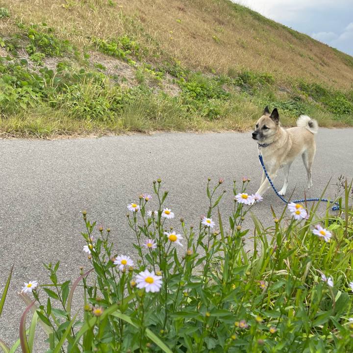 4fb764ac c4f0 46c5 9b8e a8751d31c628 1699788502916