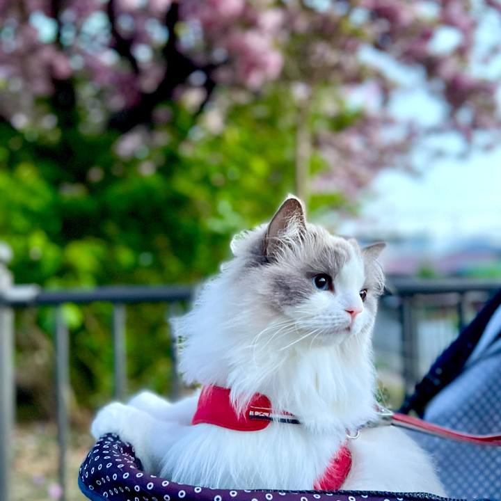 4fb7700c b637 4dcb 807b 47e0e94b5cab 1650698384423