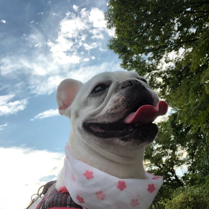 4fb775ce f9cb 4682 8b4c f22bae01b631 1535762479281