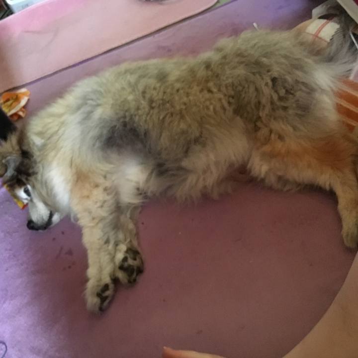 4fb79a1e be2d 48ee 8350 27bcf80dacd0 1561225417678