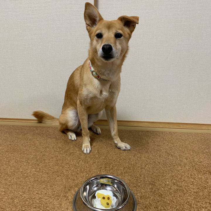 4fb7a2cf 0511 47b2 88e5 4a387d430909 1574780841229