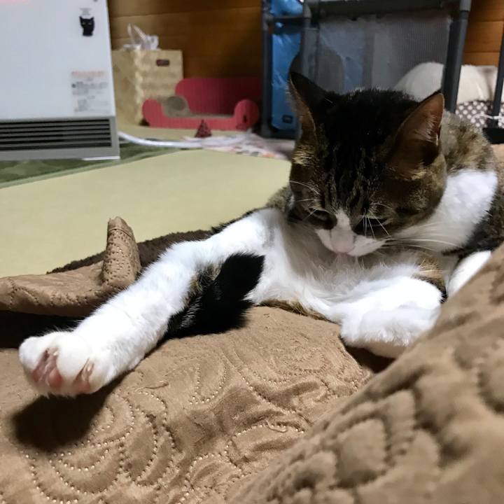 4fb80e75 c5f9 4cea b44a 504714a9758e 1514721175900