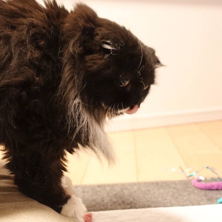 4fb8338a a2ef 4179 8613 ab5acb8675af 1526052259312