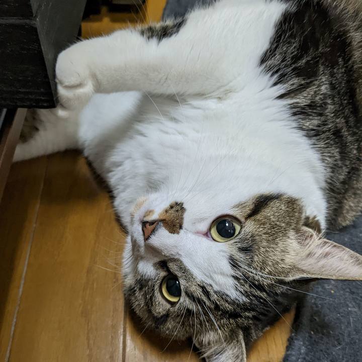 4fb8486f 9aaf 497c a47d 67309b7b7cfa 1667311388926