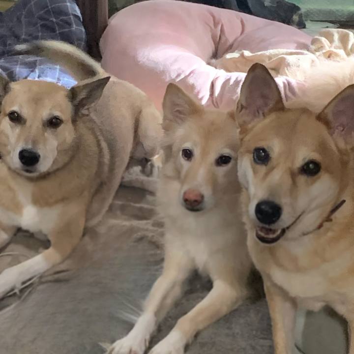 4fb858b5 47b7 4632 a514 0140e43e3eee 1728896053864