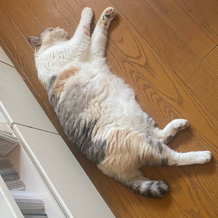 4fb87d35 60ea 485d 84e2 de20d5d5564a 1750147903304