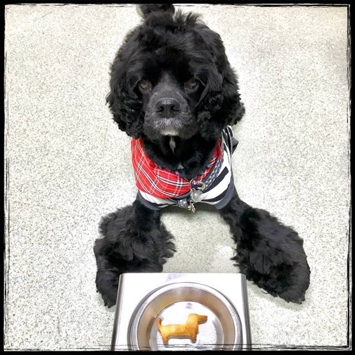 4fb88b71 2f30 407a 87b1 3ada1902565b 1526019094566