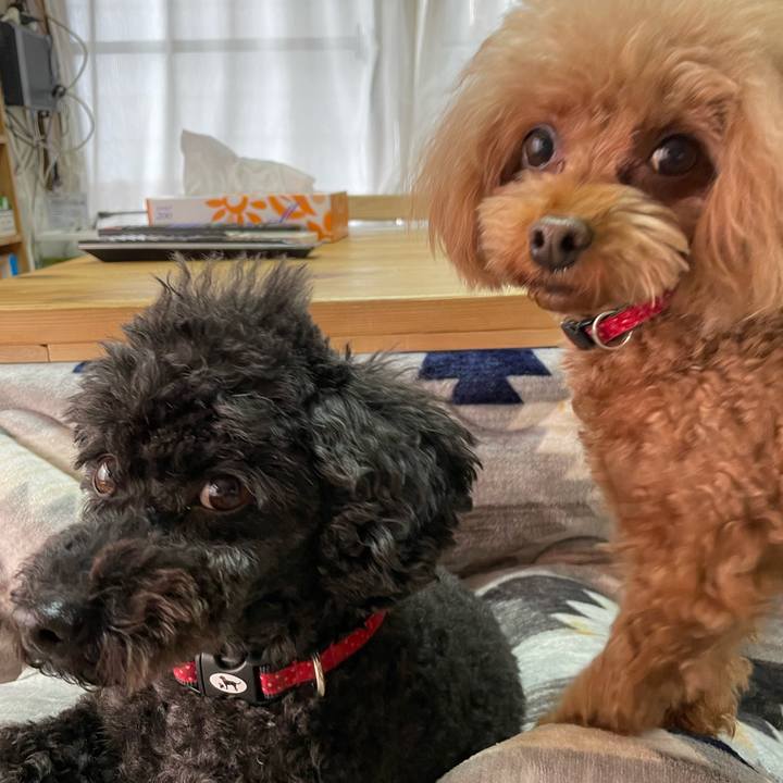 4fb8ab36 3dc7 4882 811f 4b23dde2b9a9 1643419348045