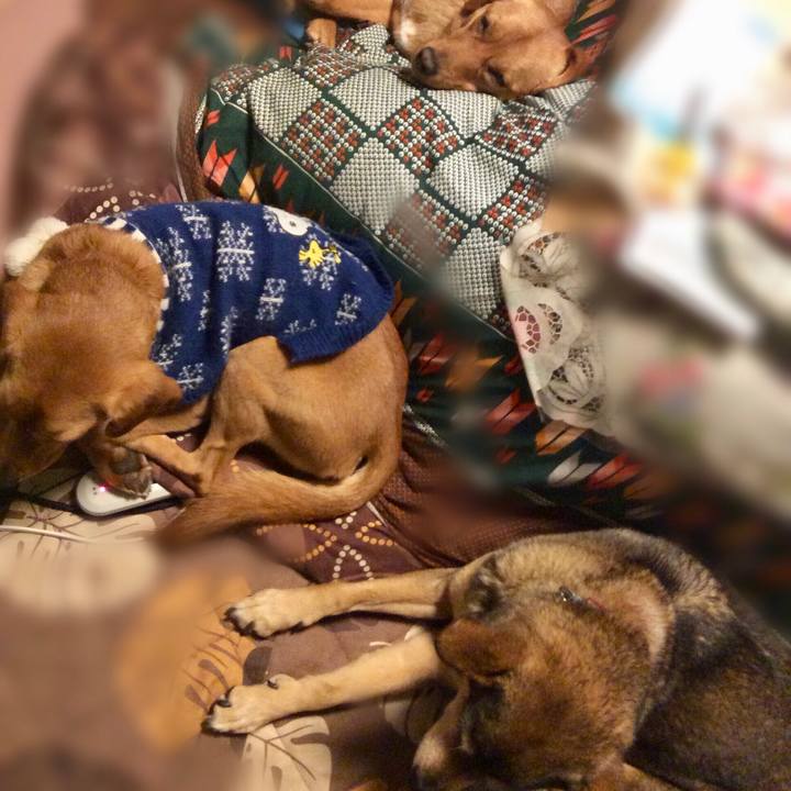 4fb8ed5b 485a 4eef 9ea2 20945d16717a 1520095738417