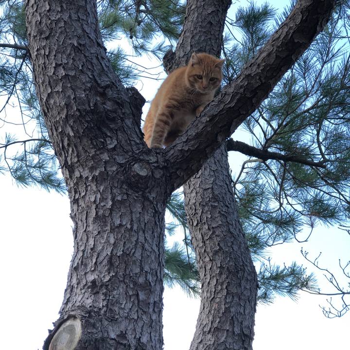 4fb929c7 794b 460b be10 12d13569feb1 1584959274630