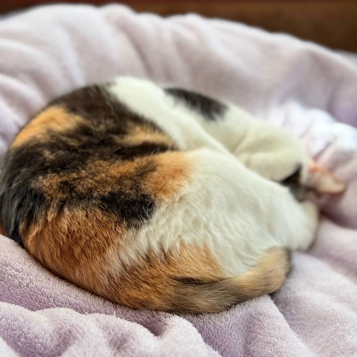 4fb93bf8 3614 48ba b1d4 8c703608459e 1734316925191