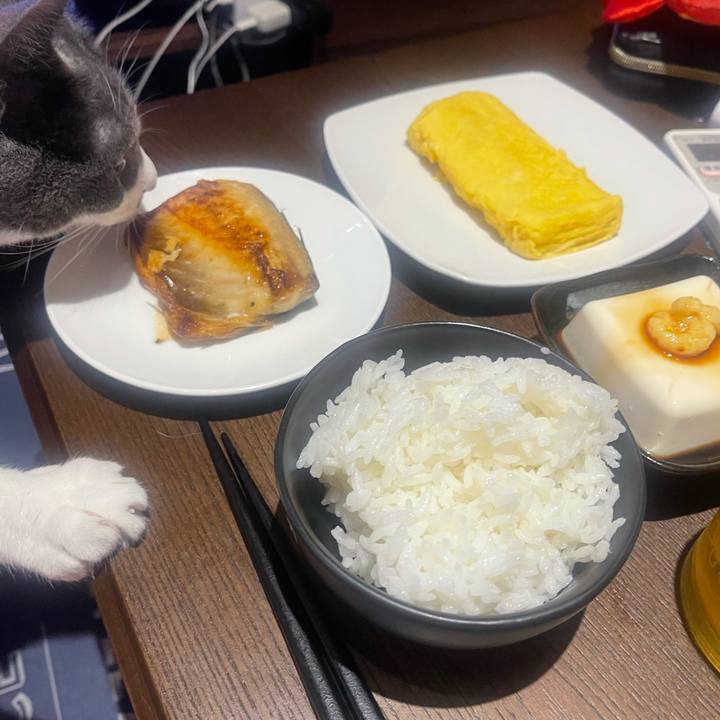 4fb9485c 8ca5 40f3 9454 cc7ca592db6c 1717932001278