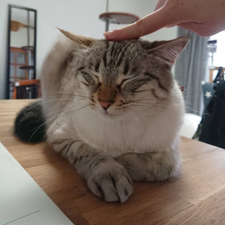 4fb9508a d28a 4341 85c4 3a58b52c04d5 1559376364160