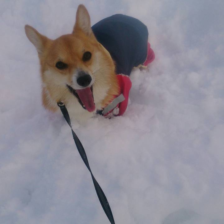 4fb96370 2ec9 411e 83e0 f277d2d6b4d5 1516700224422