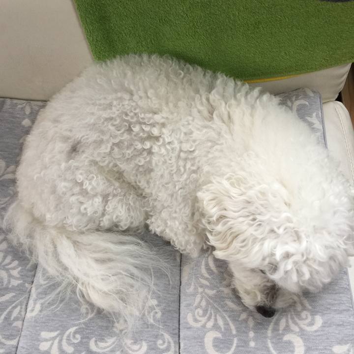 4fb9779a 7296 4605 890b 5a535730b21e 1663713363968