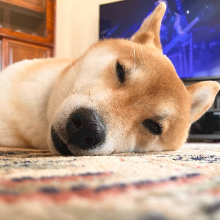 4fb9c6b0 524f 46e8 897d 89d89f7e5ce7 1680751088765