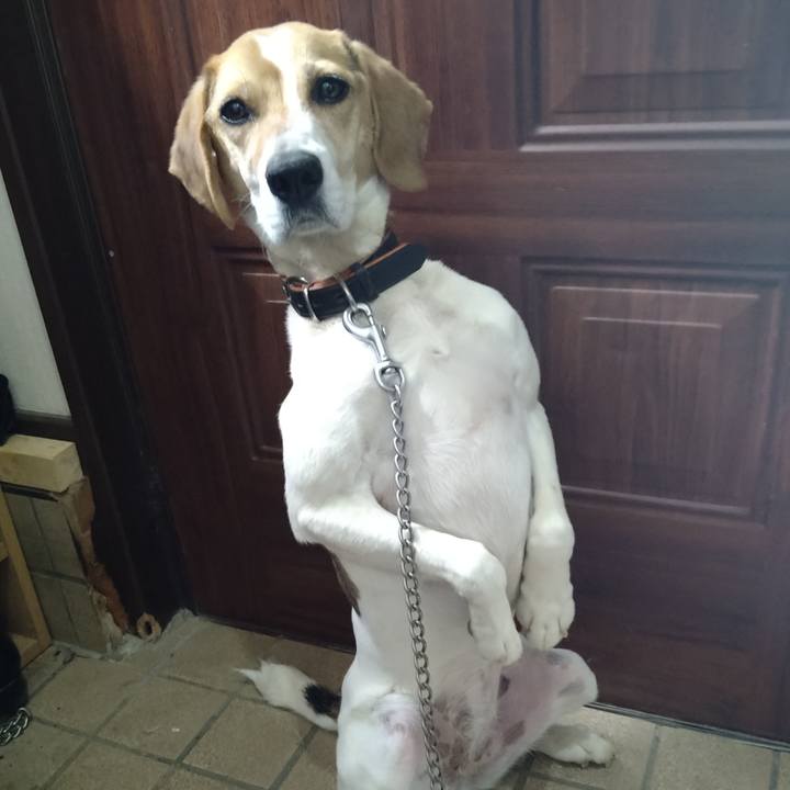 4fb9e975 2013 445c a730 0f94d37ae986 1653286719053