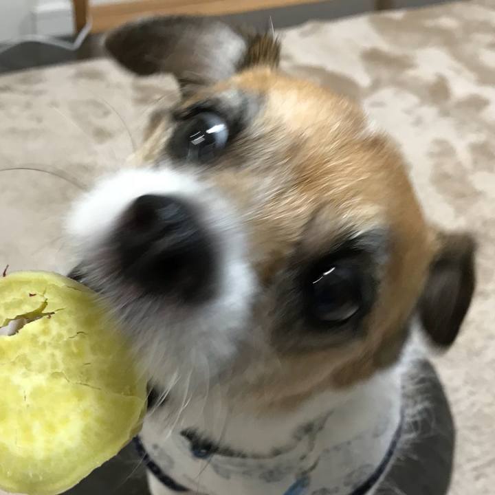 4fb9fe68 c583 47fc b205 0f5ad565c18e 1537169534094