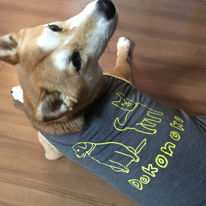 4fba0276 36ce 48a3 a624 959aec2724f8 1510918386780