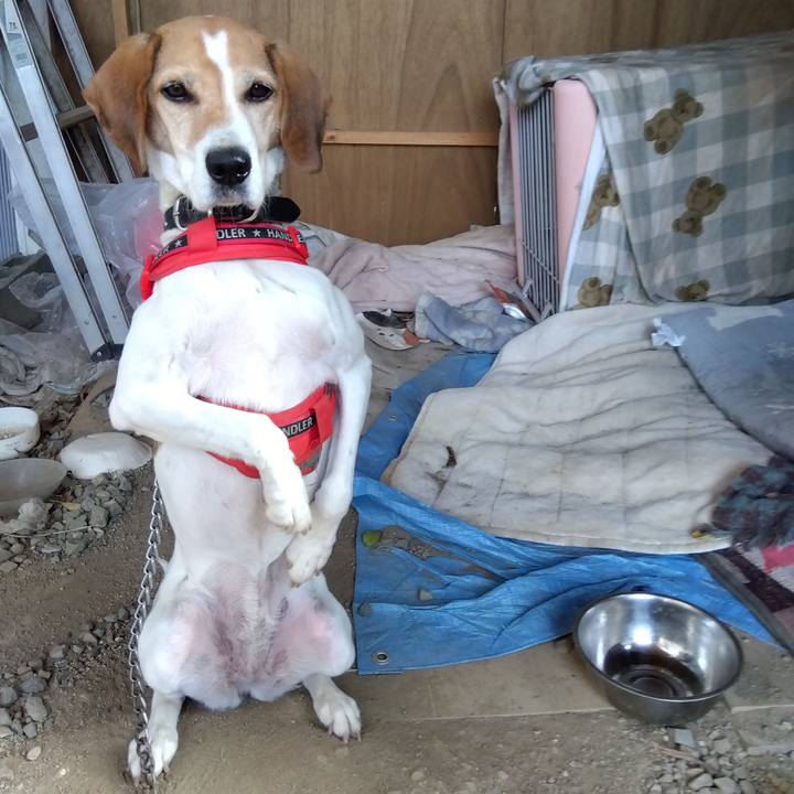 4fba0ecd 13c5 435f b148 23a6f2f4deb8 1701601065015