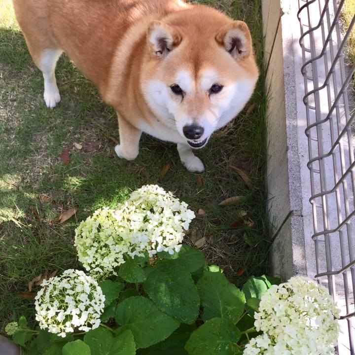 4fba169c 4669 4b91 896f 7af6cc6f15d2 1528089814919