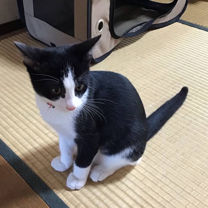 4fba2df8 5a43 457b ab6a 551fe25298ae 1628070525249