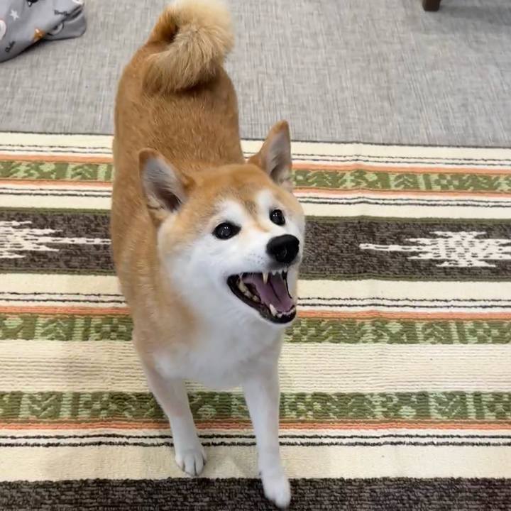 4fba2e0f 0d6f 4d20 8300 587bc0004186 1713501391557