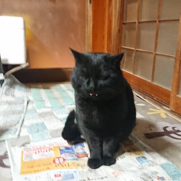 4fba6974 79f6 4a01 93b4 185de5555f77 1647087765224