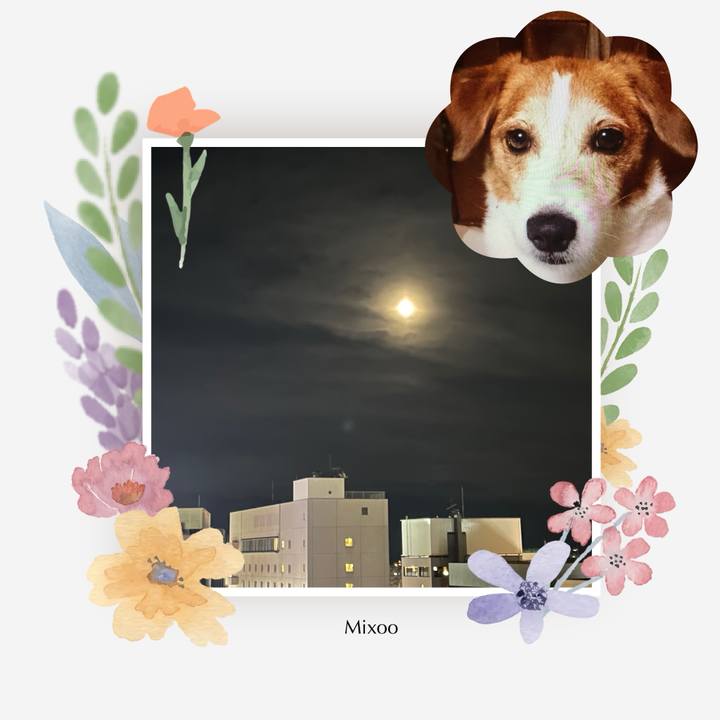 4fba71de b1bf 49fe 8566 bcfa58d27e99 1749736193303