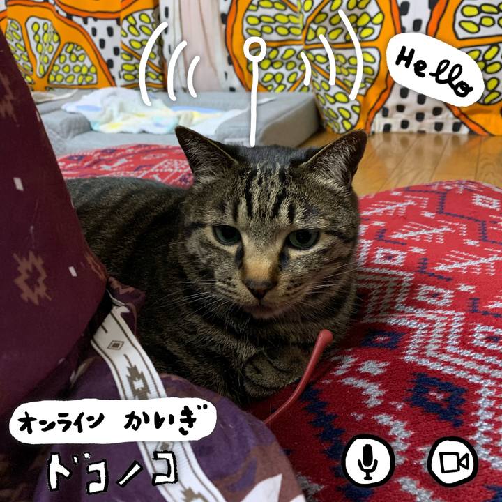 4fbaa920 46f9 491a 9765 936d5a63dc43 1590887650610