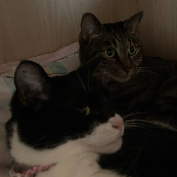 4fbac740 42fe 45d7 82b9 4aa281d72e59 1621826207849