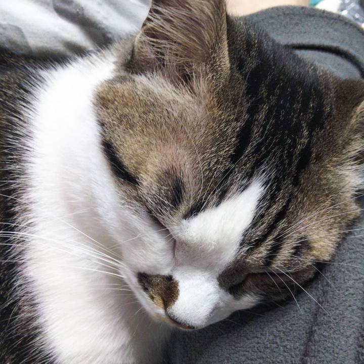 4fbacb5b c57d 49ad 8a0a 538cd6280848 1647077130269