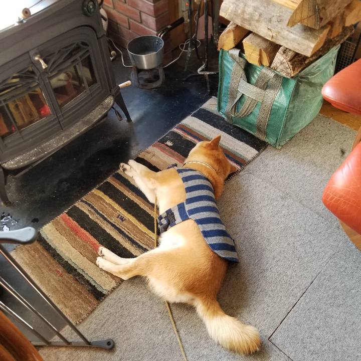 4fbb50fd b59e 4c21 bad8 0f2b8b75b44b 1614127407618