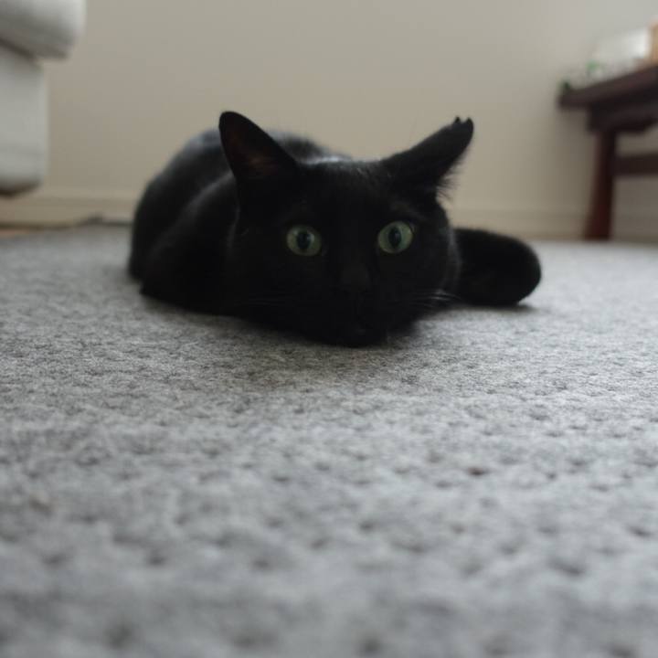 4fbb6020 640e 4ea8 825a fe4fdd54a157 1575292887883