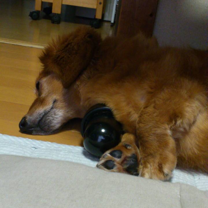 4fbbb192 76bf 4b83 bb22 05eef1c4f840 1561140877728