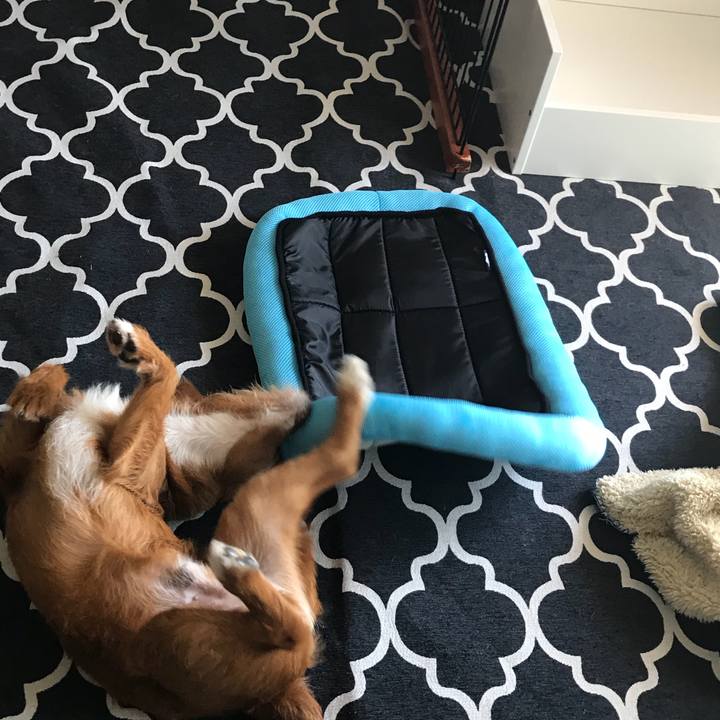 4fbbbc78 eab8 438f 9811 65c9c44b4c0d 1530324568163