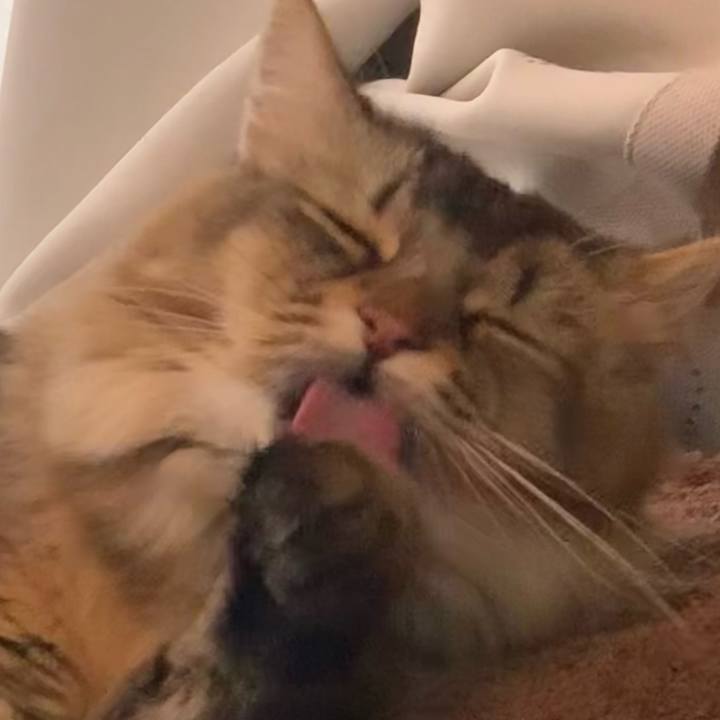 4fbbd5ff b3c1 4f2b bc28 3b137d37120f 1751842653024