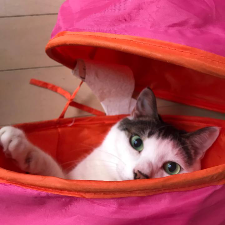 4fbbe851 2fba 4de6 b479 799b990ba4c5 1520206466169