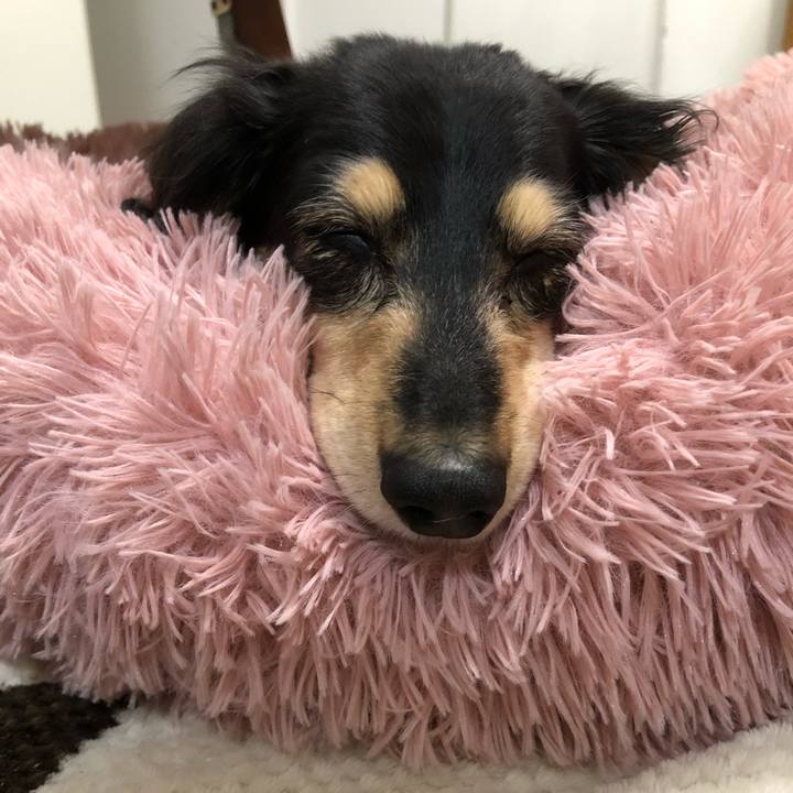 4fbbf744 9698 455a b69d 210bc2ecee68 1617627734419