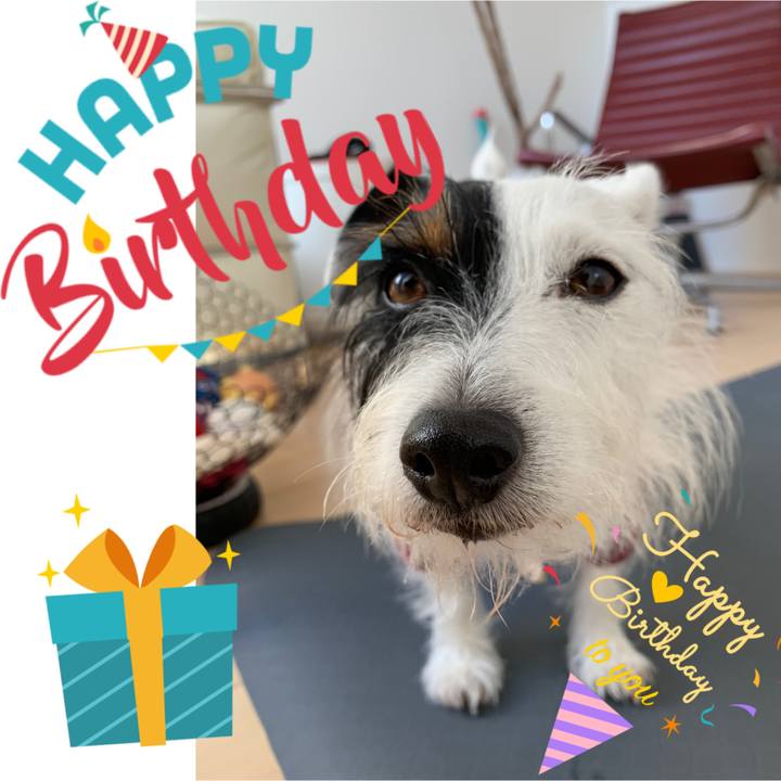 4fbc01cb 4917 4b19 9aa3 37dbf22fbc28 1574212353337