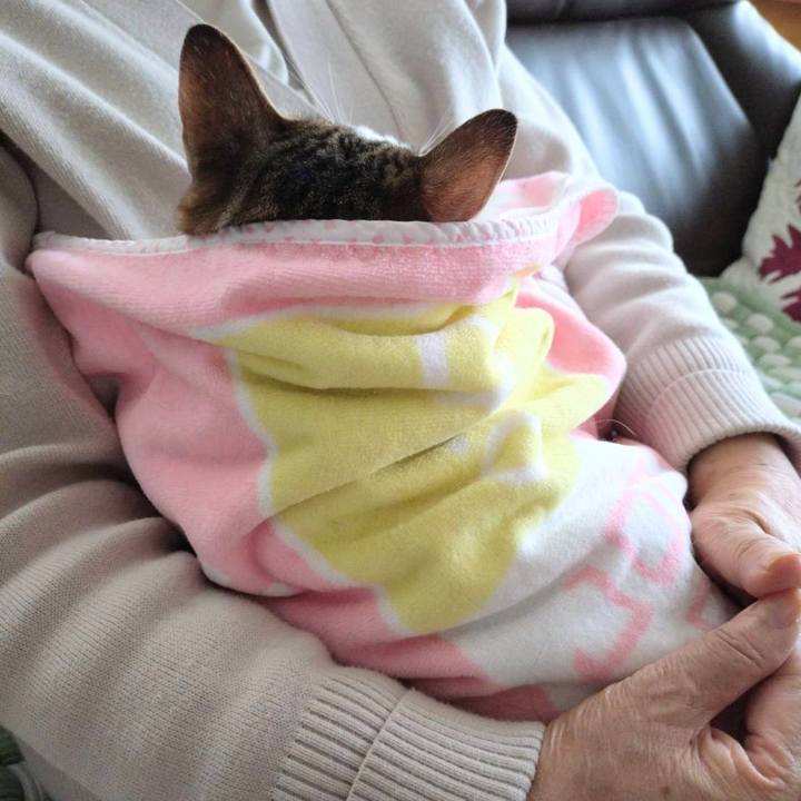 4fbc1e50 fc36 41e8 a92d 219b660e0652 1745984953811