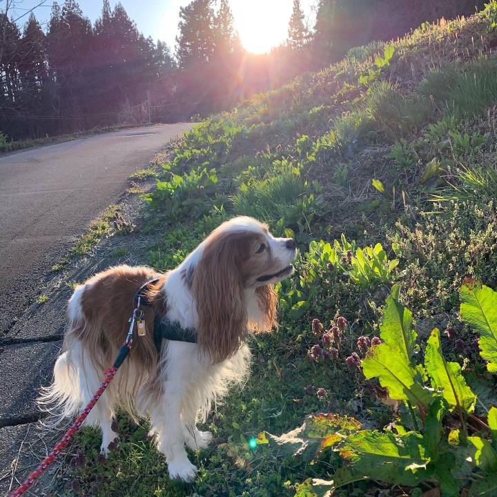 4fbc4eb2 e398 4ffe 959e 60ccc0a782ac 1586247562713