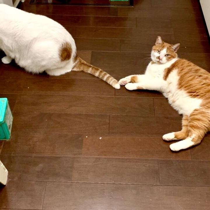 4fbc5025 6eca 461a b458 d8261a94244e 1574990558135